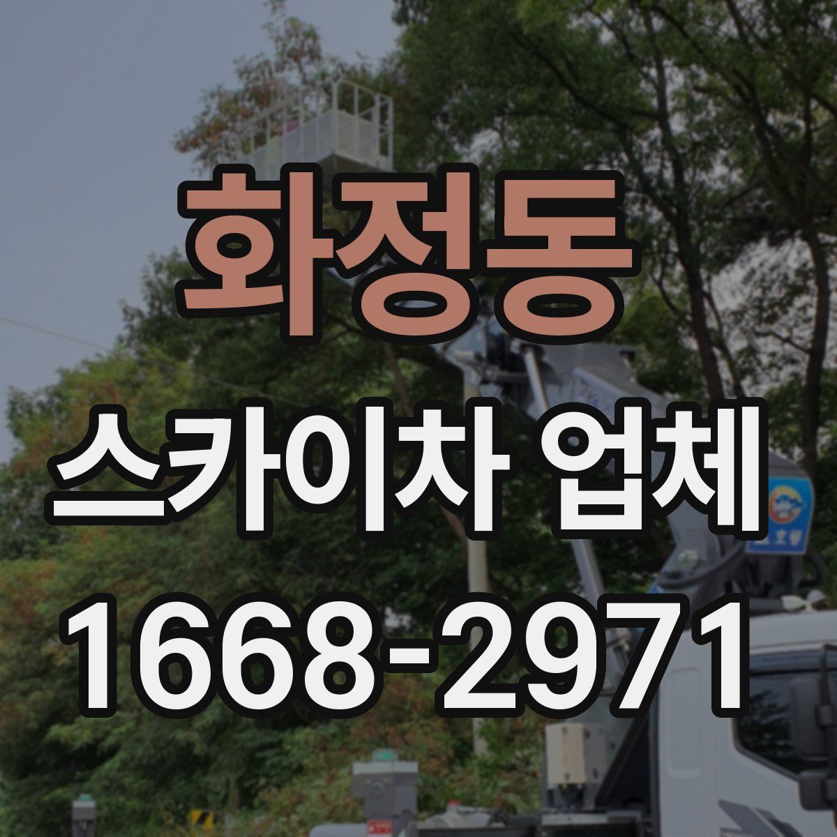 화정동 스카이차 업체