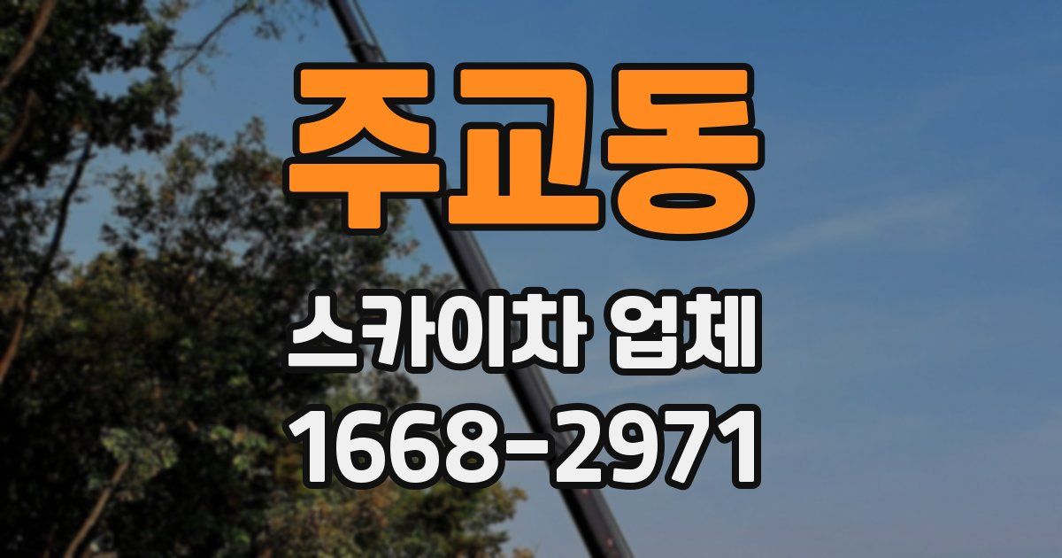 주교동 스카이차 업체