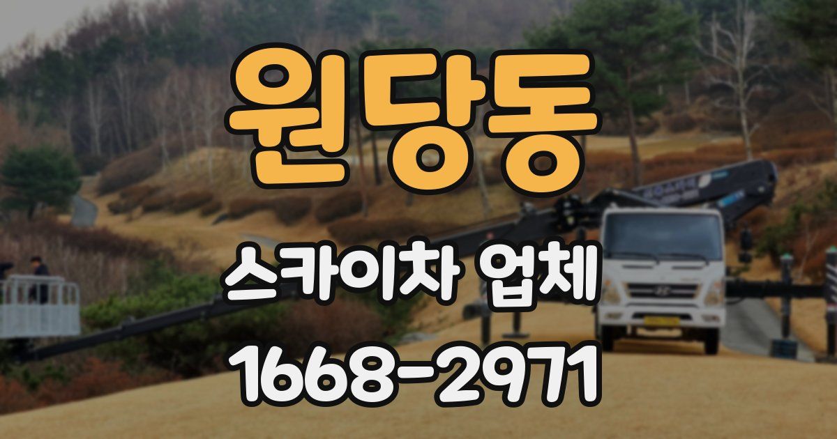 원당동 스카이차 업체