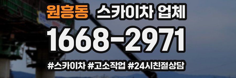 원흥동 스카이차 업체