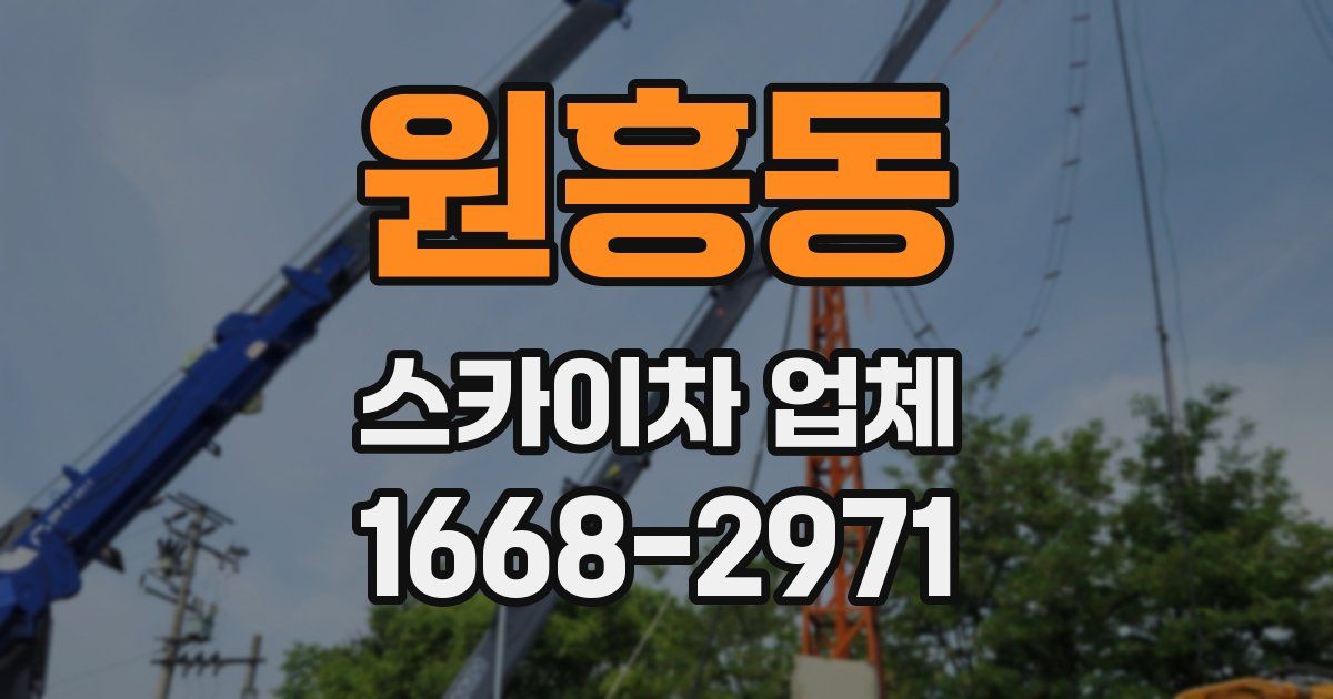 원흥동 스카이차 업체