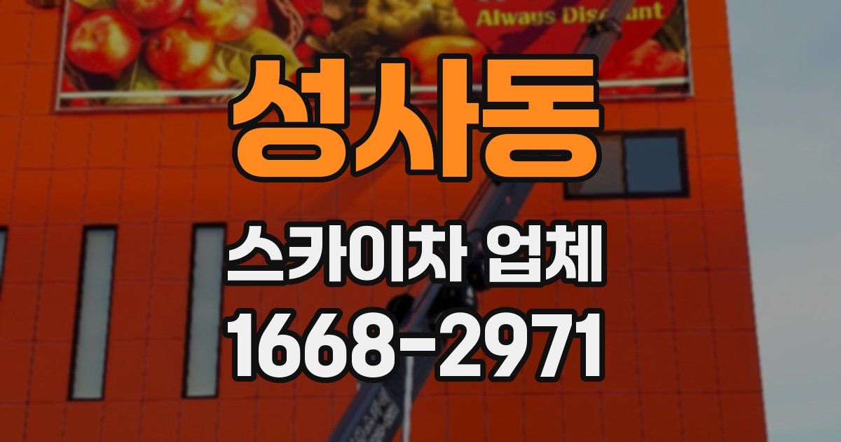 성사동 스카이차 업체