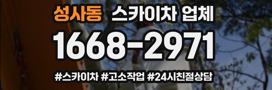 성사동 스카이차 업체