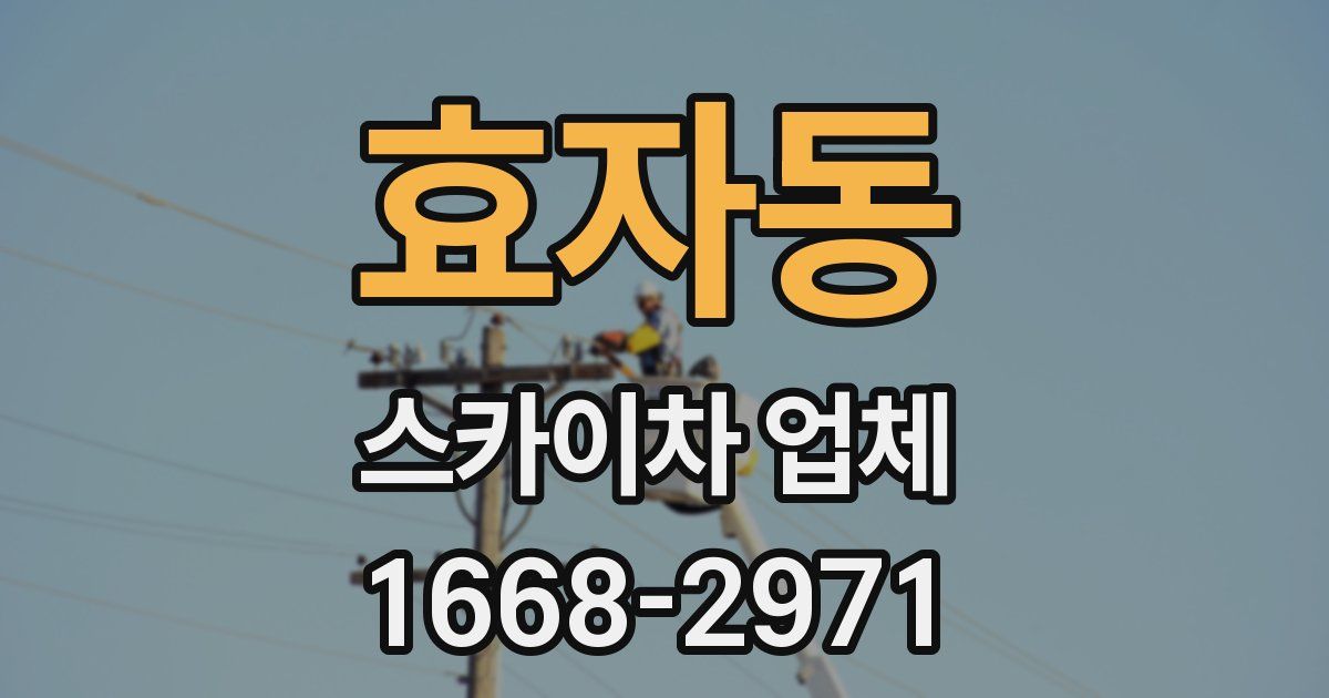 효자동 스카이차 업체