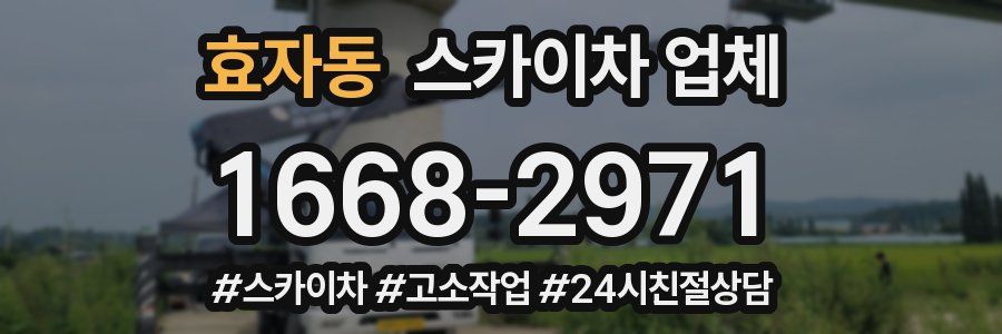 효자동 스카이차 업체