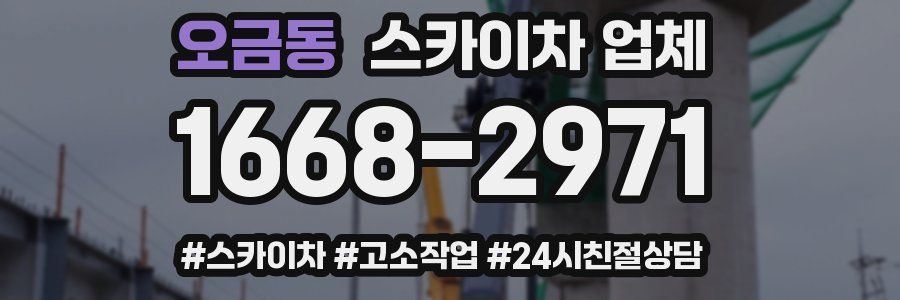 오금동 스카이차 업체