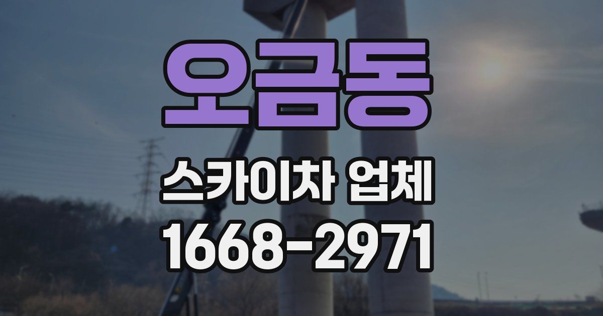 오금동 스카이차 업체
