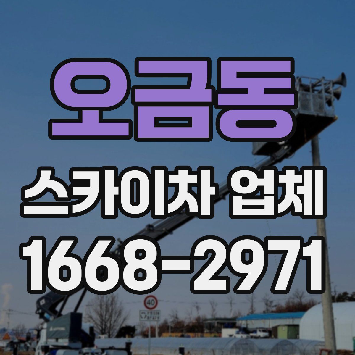 오금동 스카이차 업체