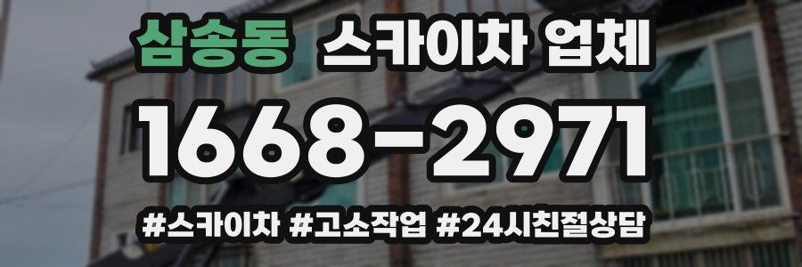 삼송동 스카이차 업체