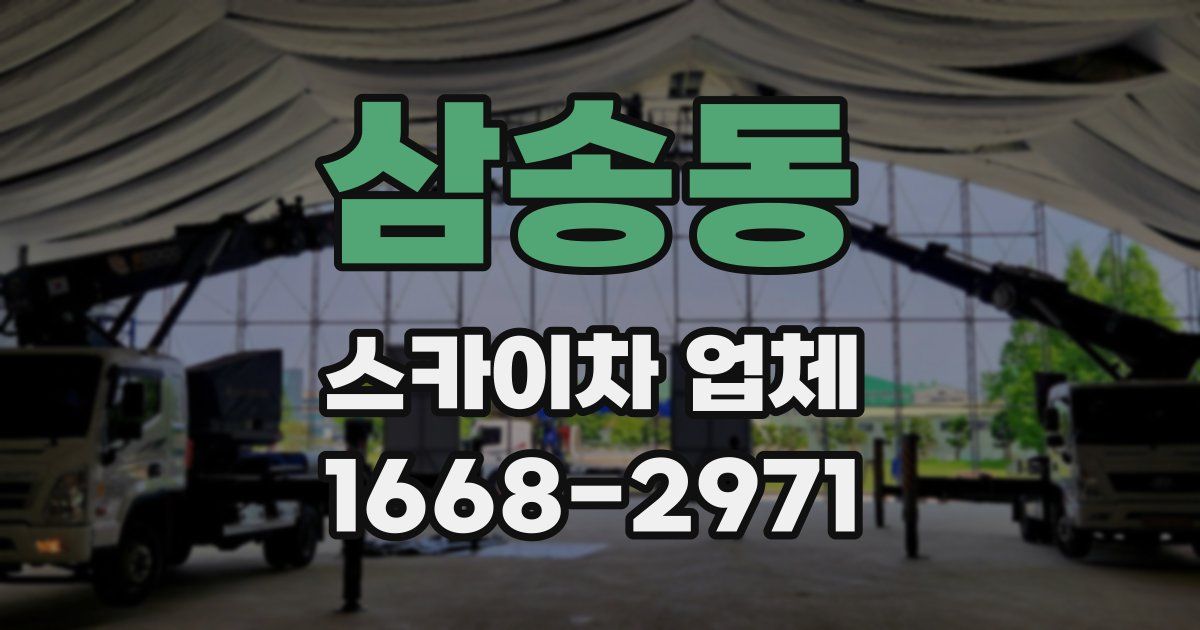 삼송동 스카이차 업체