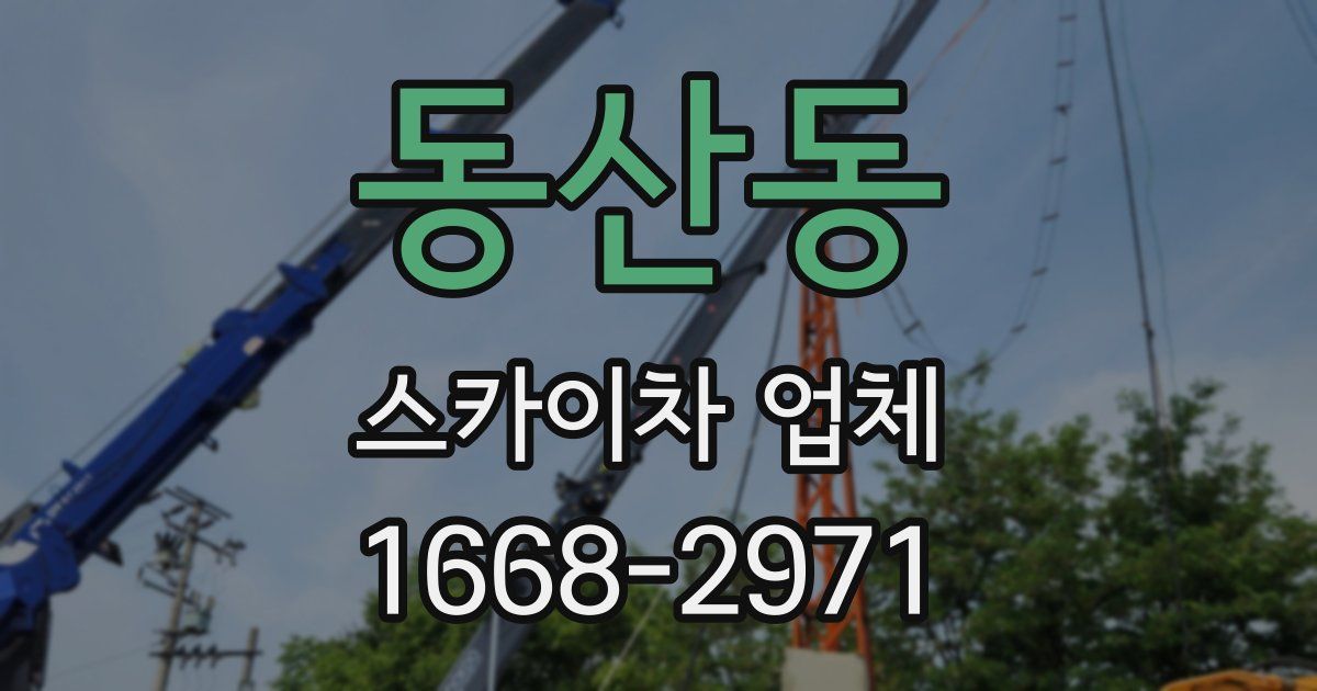 동산동 스카이차 업체