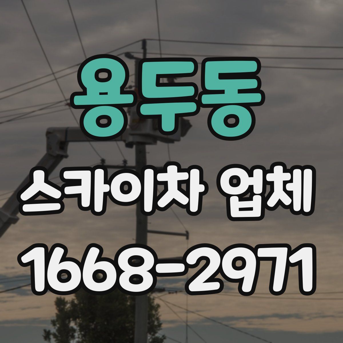 용두동 스카이차 업체