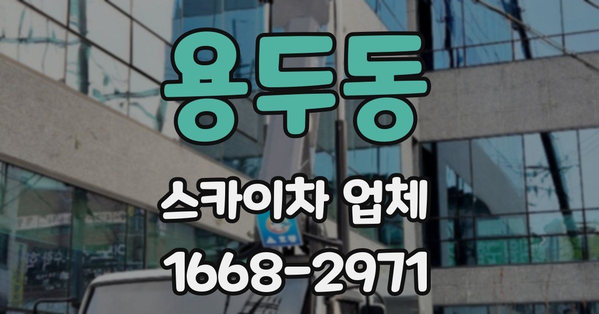 용두동 스카이차 업체