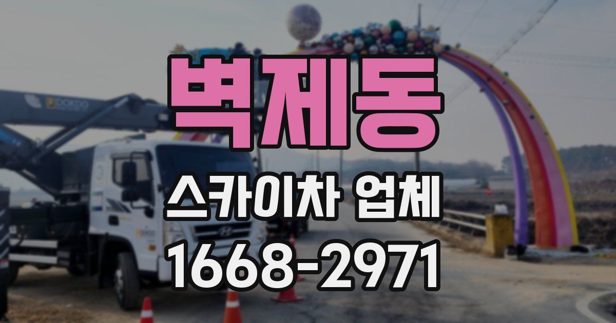 벽제동 스카이차 업체