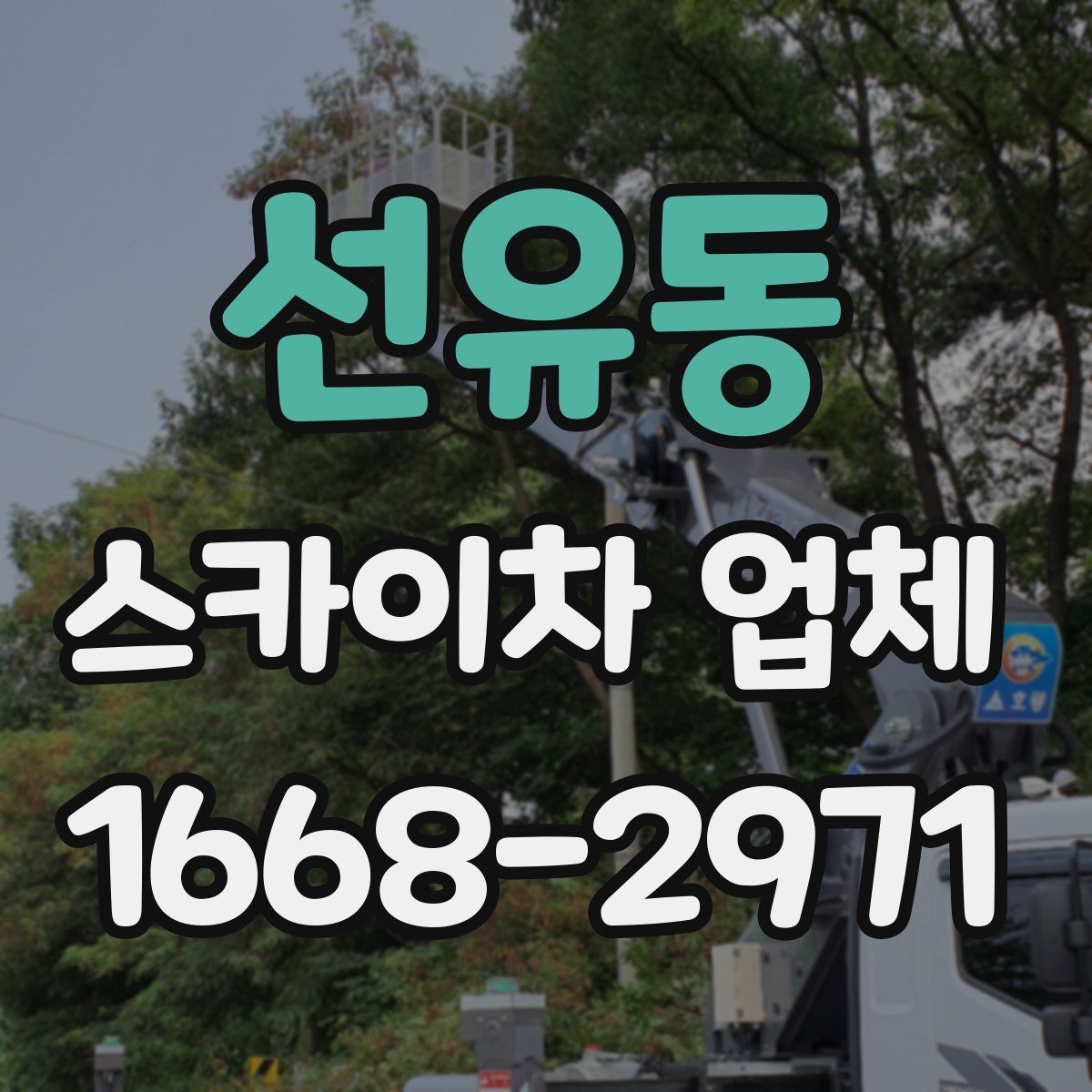 선유동 스카이차 업체