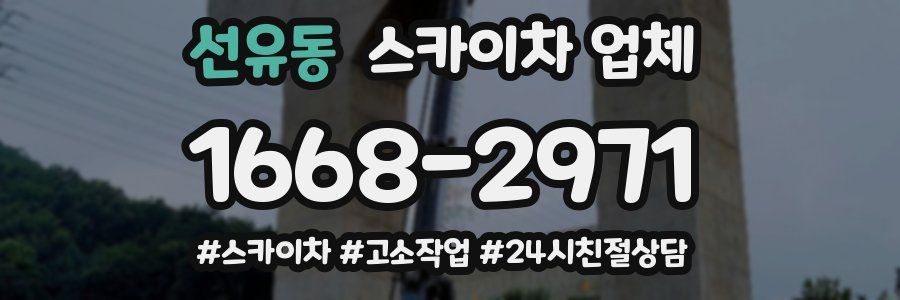 선유동 스카이차 업체