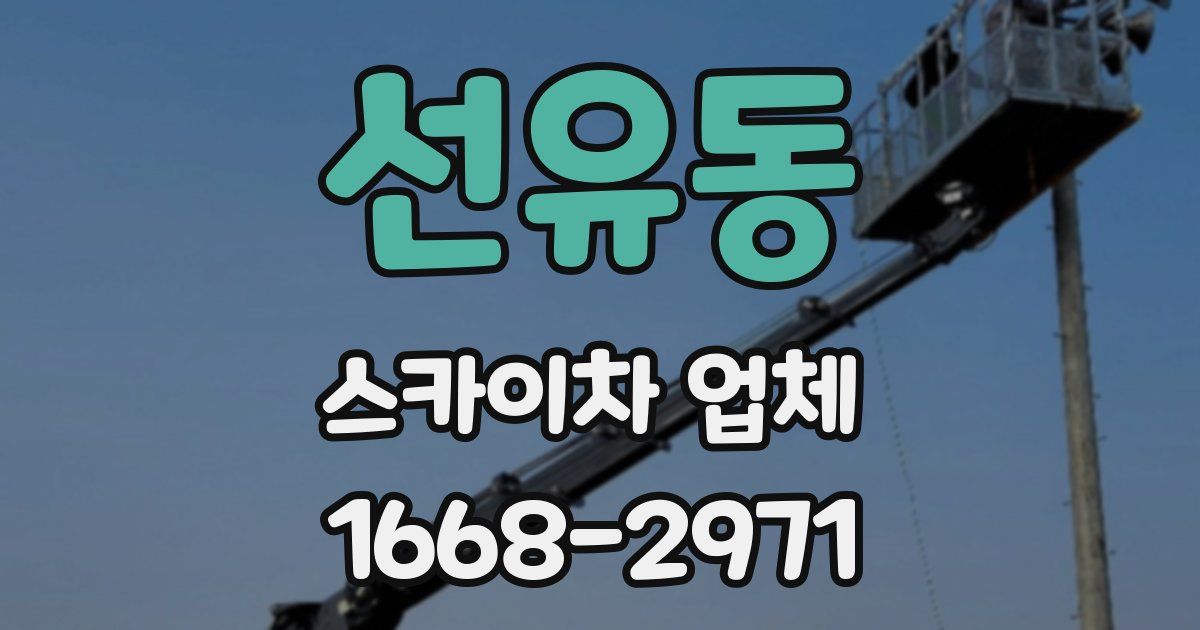 선유동 스카이차 업체