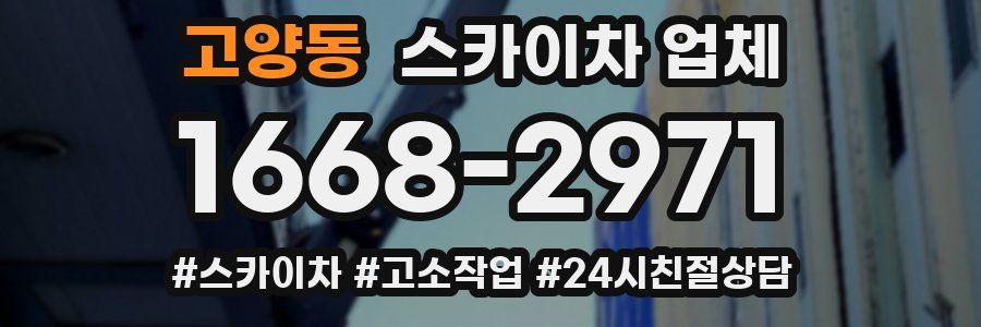 고양동 스카이차 업체