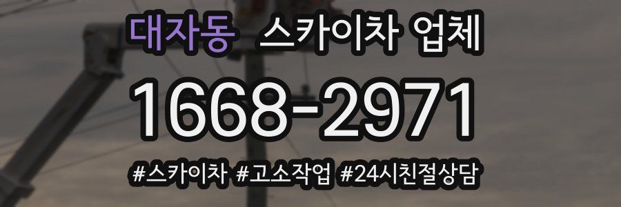 대자동 스카이차 업체
