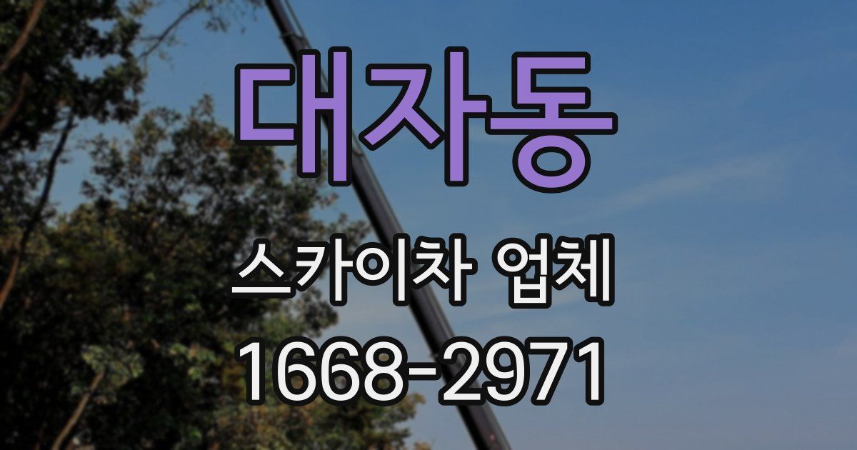 대자동 스카이차 업체