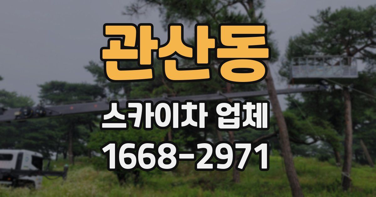 관산동 스카이차 업체