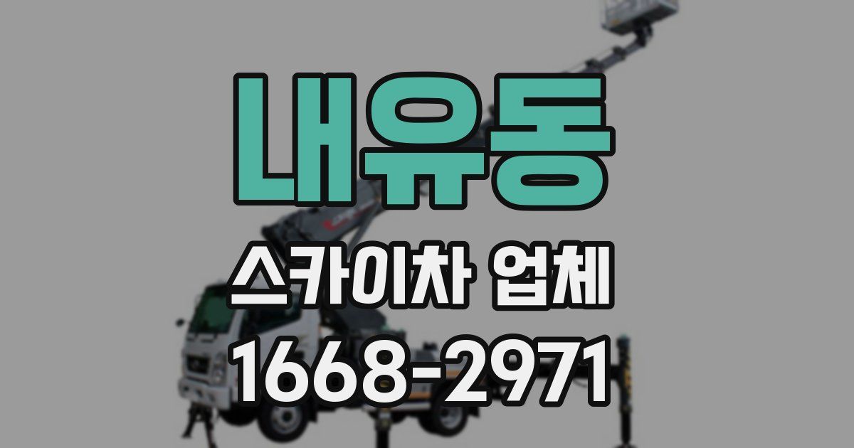 내유동 스카이차 업체