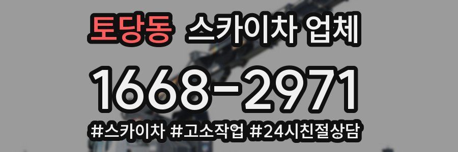 토당동 스카이차 업체