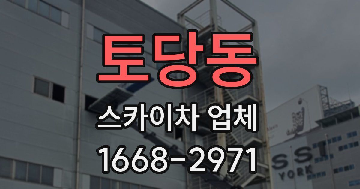 토당동 스카이차 업체