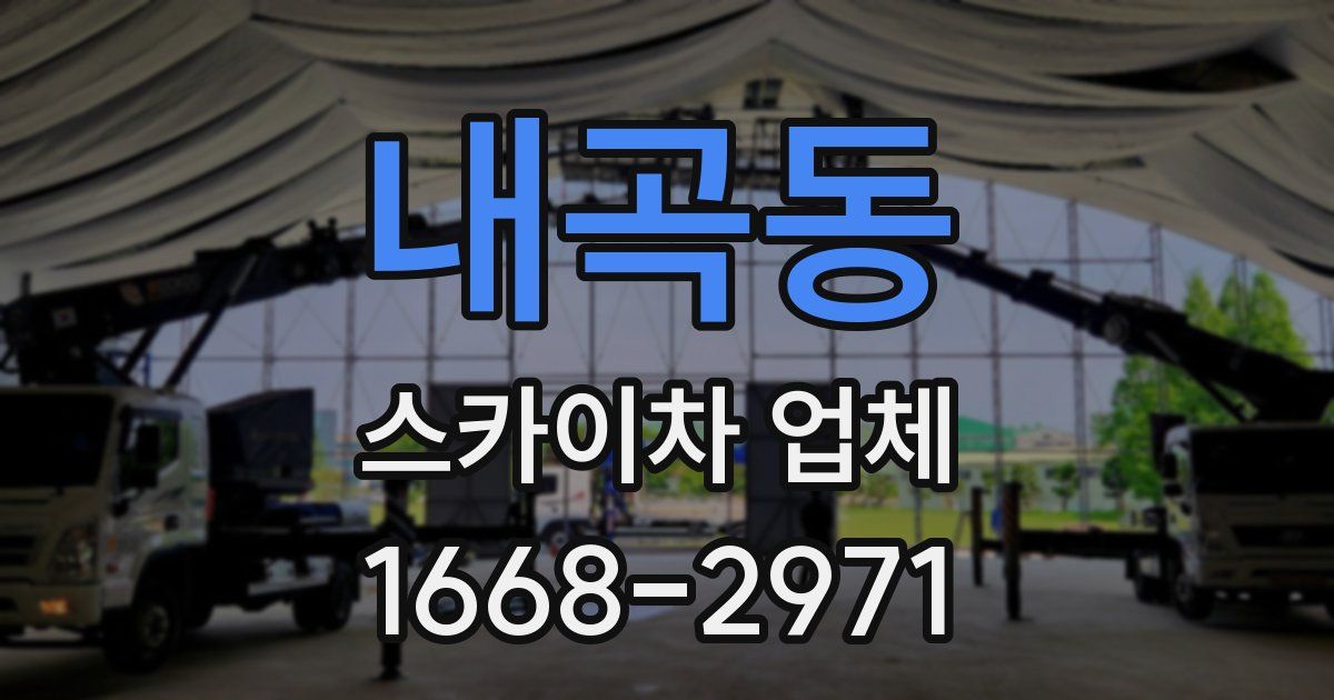 내곡동 스카이차 업체