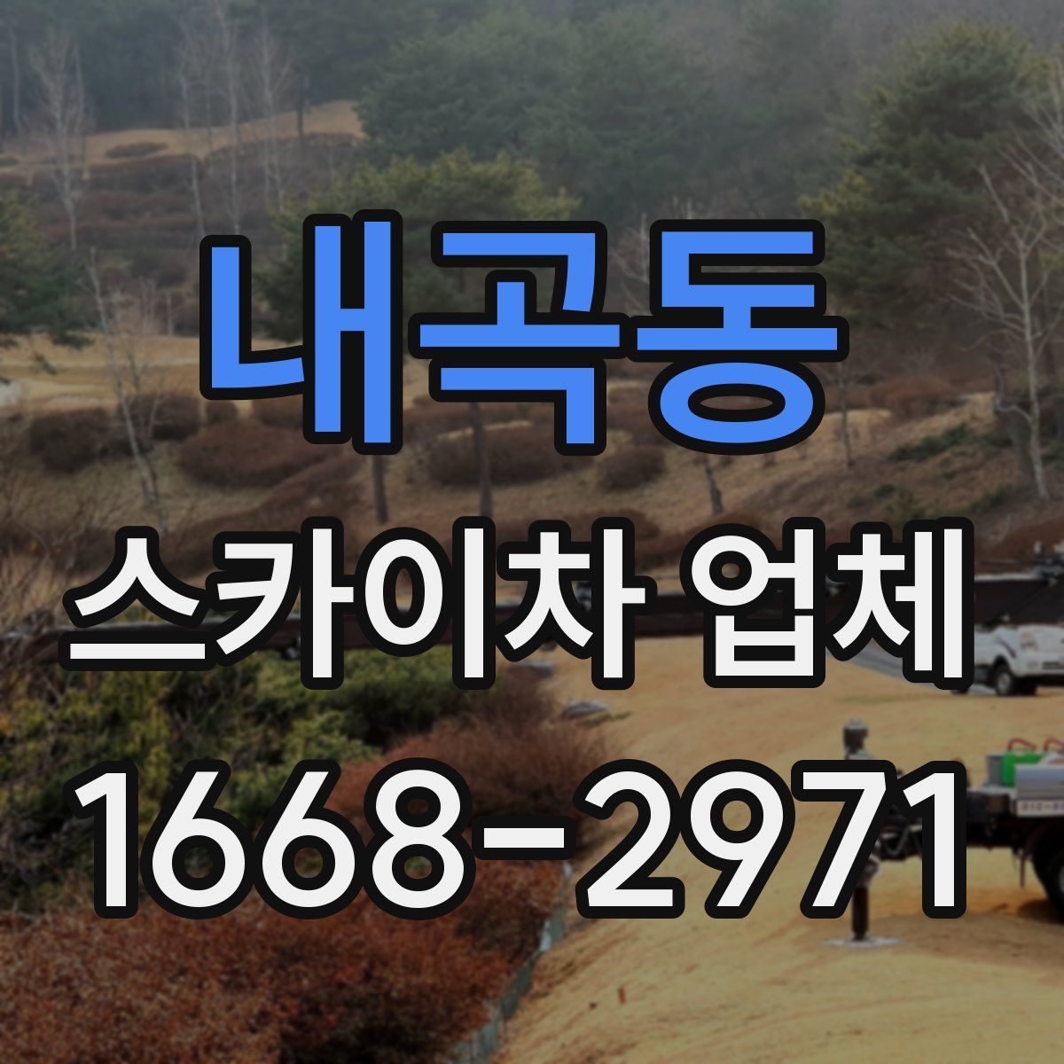 내곡동 스카이차 업체