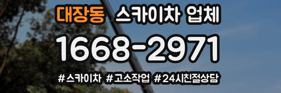 대장동 스카이차 업체