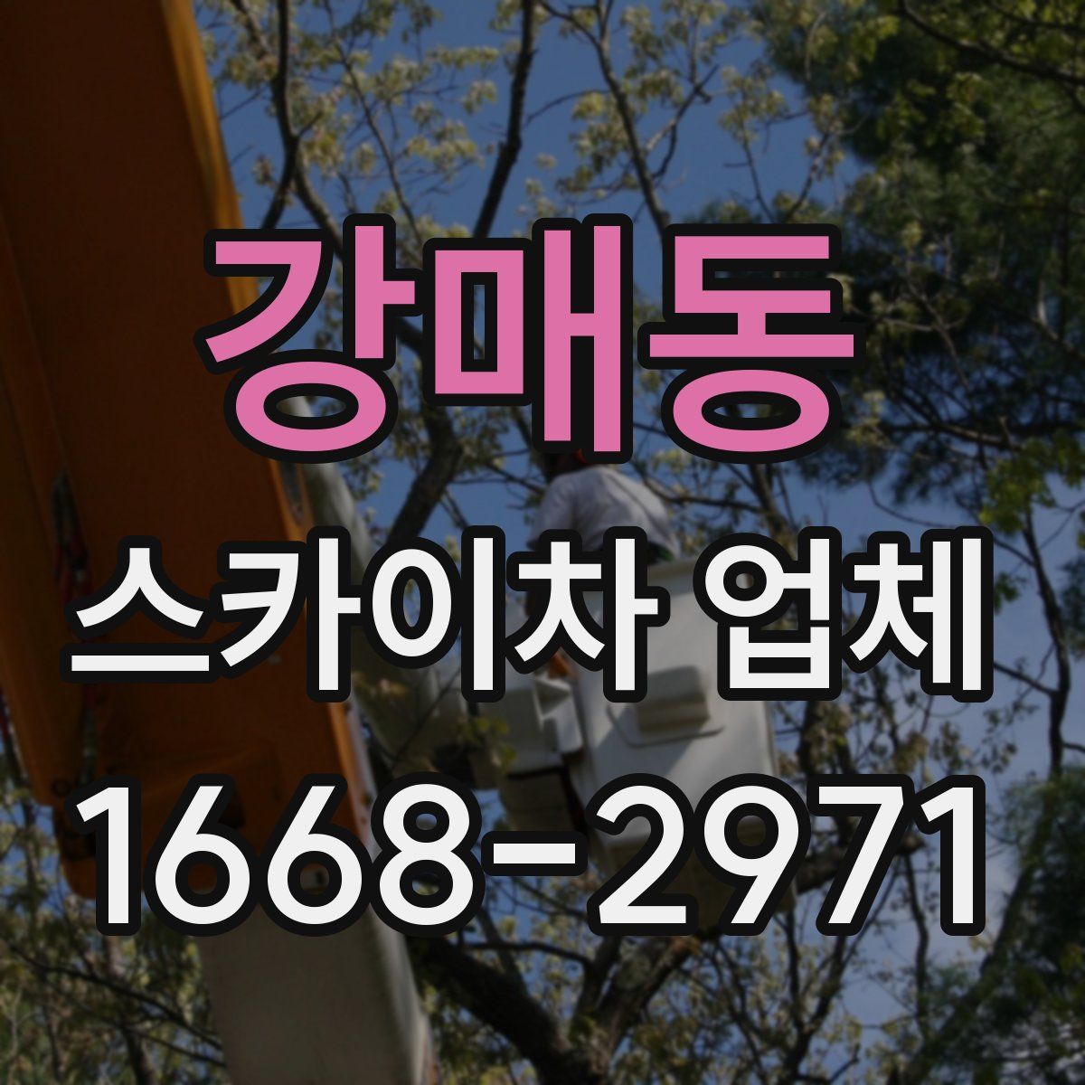강매동 스카이차 업체