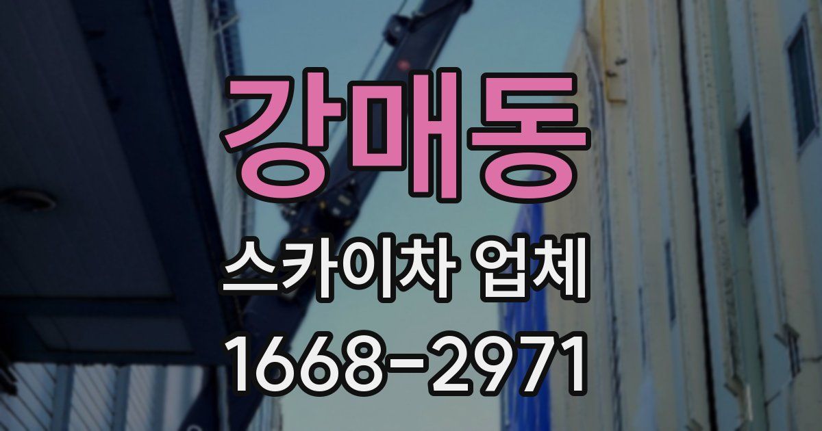 강매동 스카이차 업체
