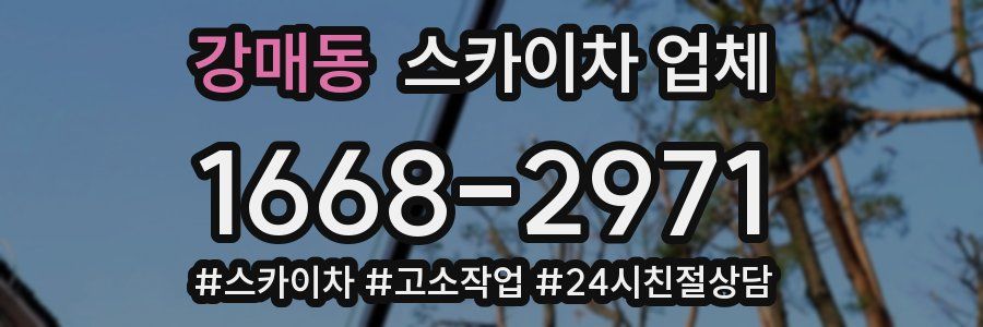 강매동 스카이차 업체