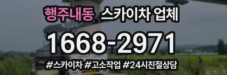 행주내동 스카이차 업체