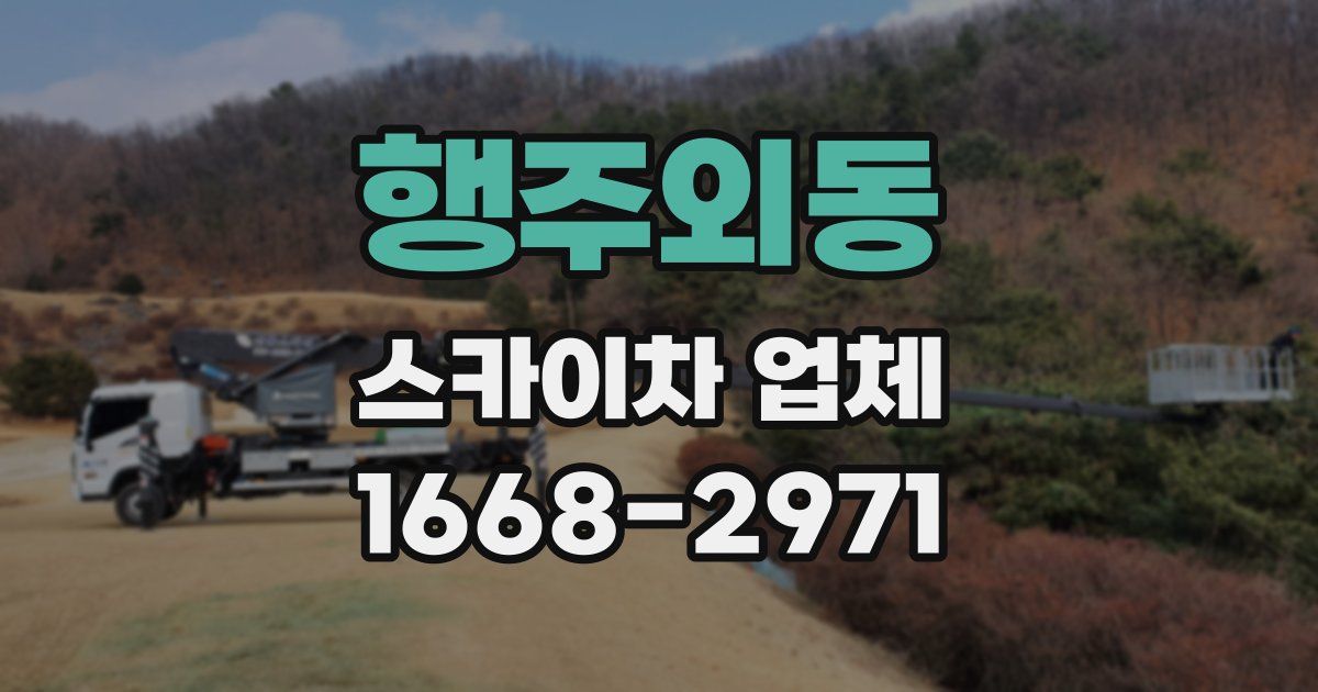 행주외동 스카이차 업체