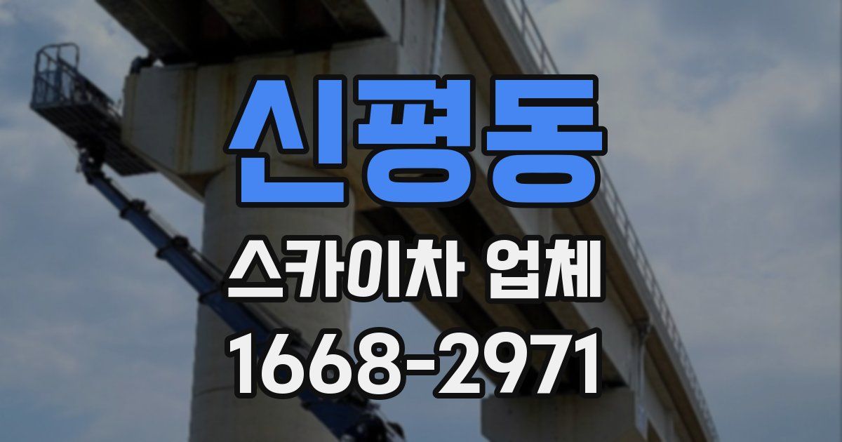 신평동 스카이차 업체