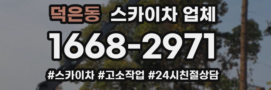 덕은동 스카이차 업체