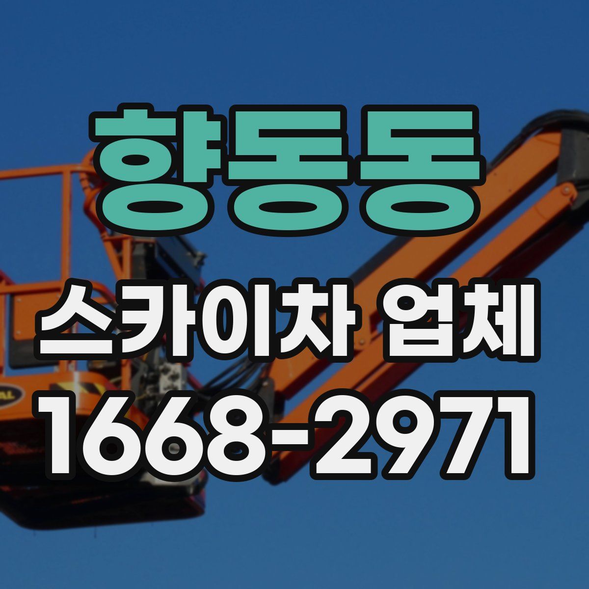향동동 스카이차 업체