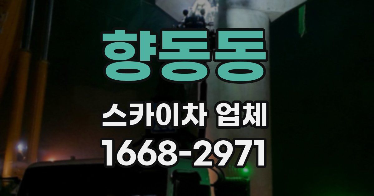 향동동 스카이차 업체