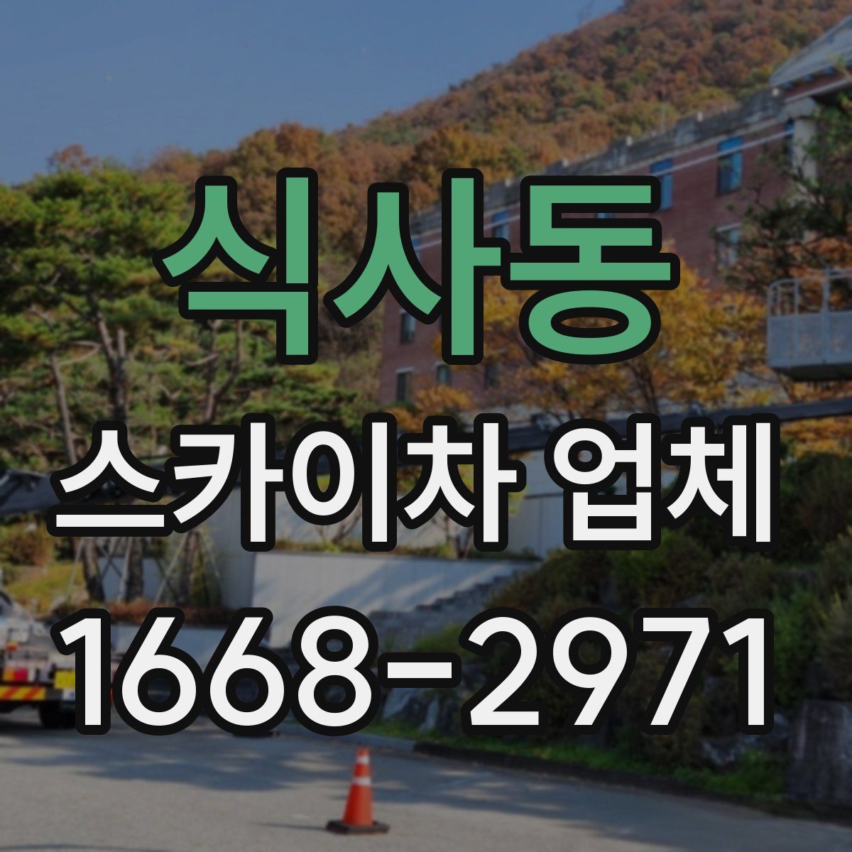 식사동 스카이차 업체