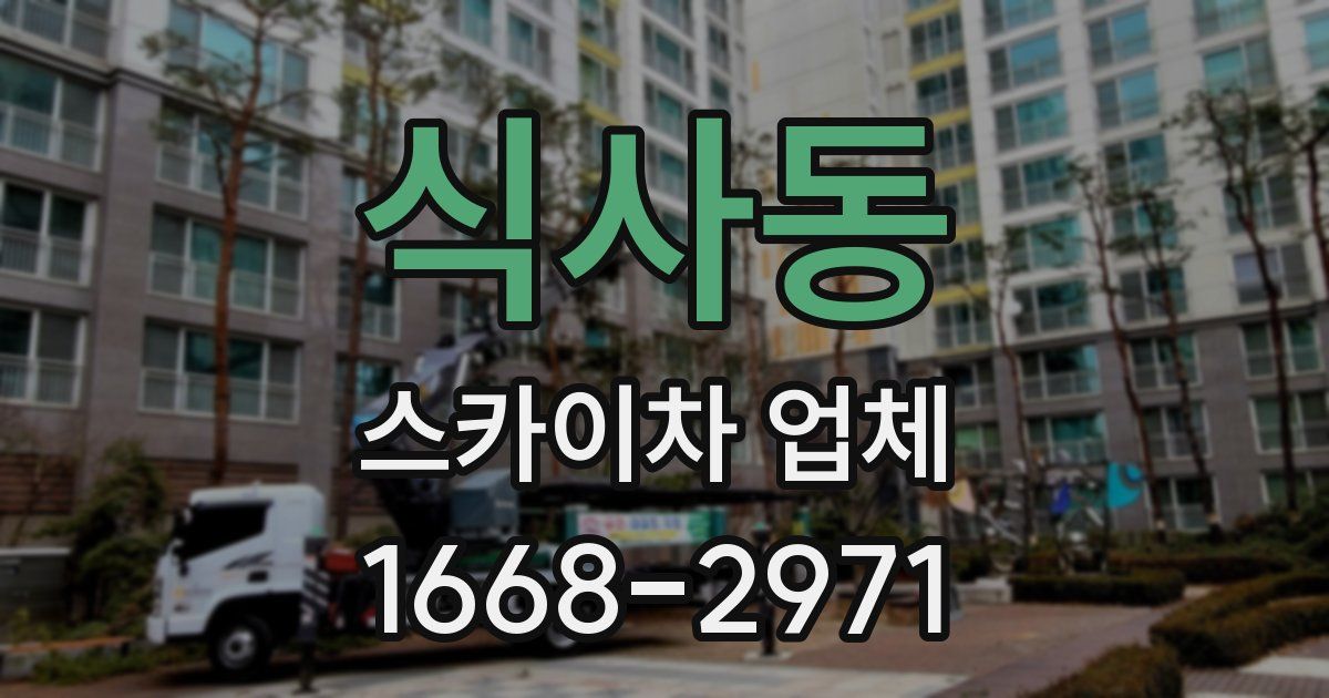 식사동 스카이차 업체