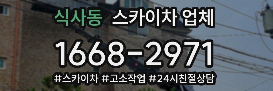 식사동 스카이차 업체