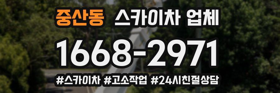 중산동 스카이차 업체