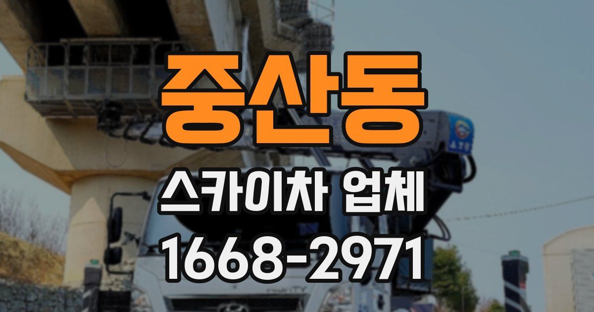 중산동 스카이차 업체