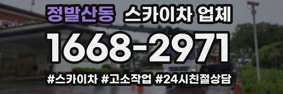 정발산동 스카이차 업체
