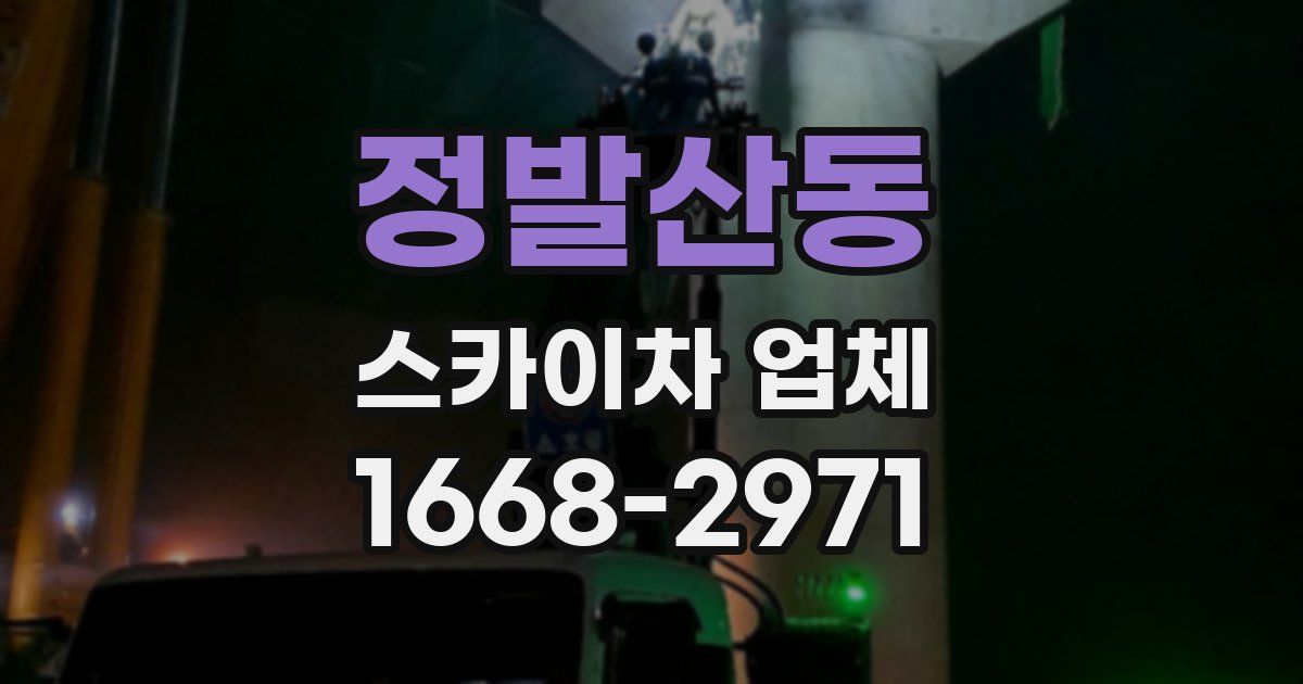 정발산동 스카이차 업체
