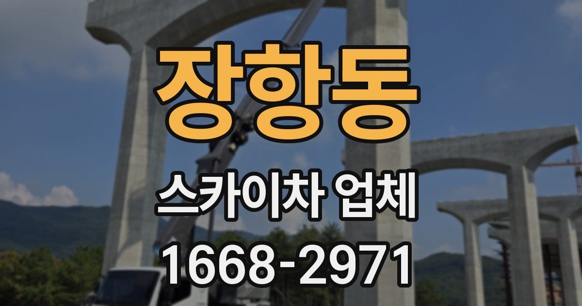 장항동 스카이차 업체