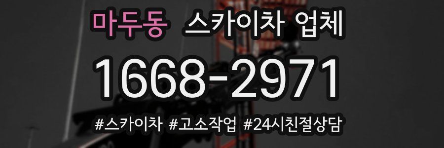마두동 스카이차 업체