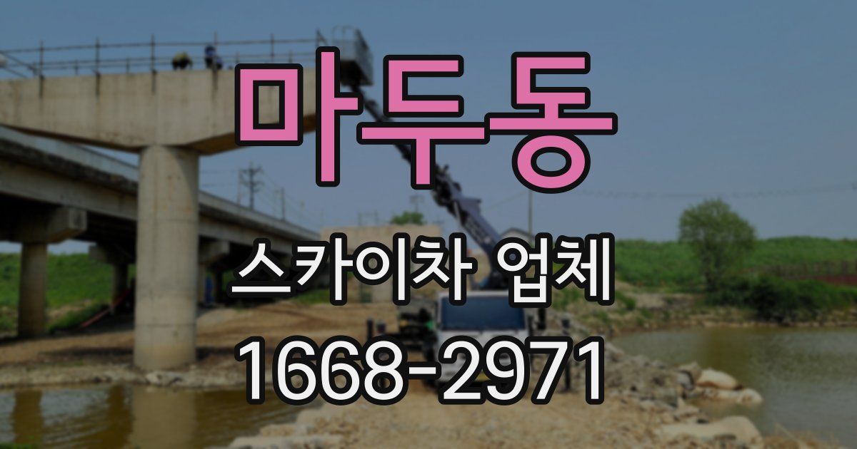 마두동 스카이차 업체